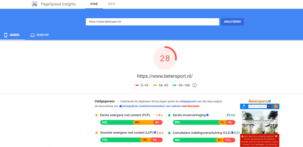 Google Pagespeed insights tool